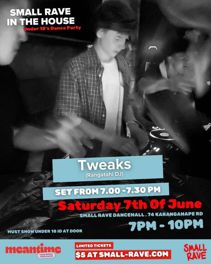 SMALL RAVE In The House